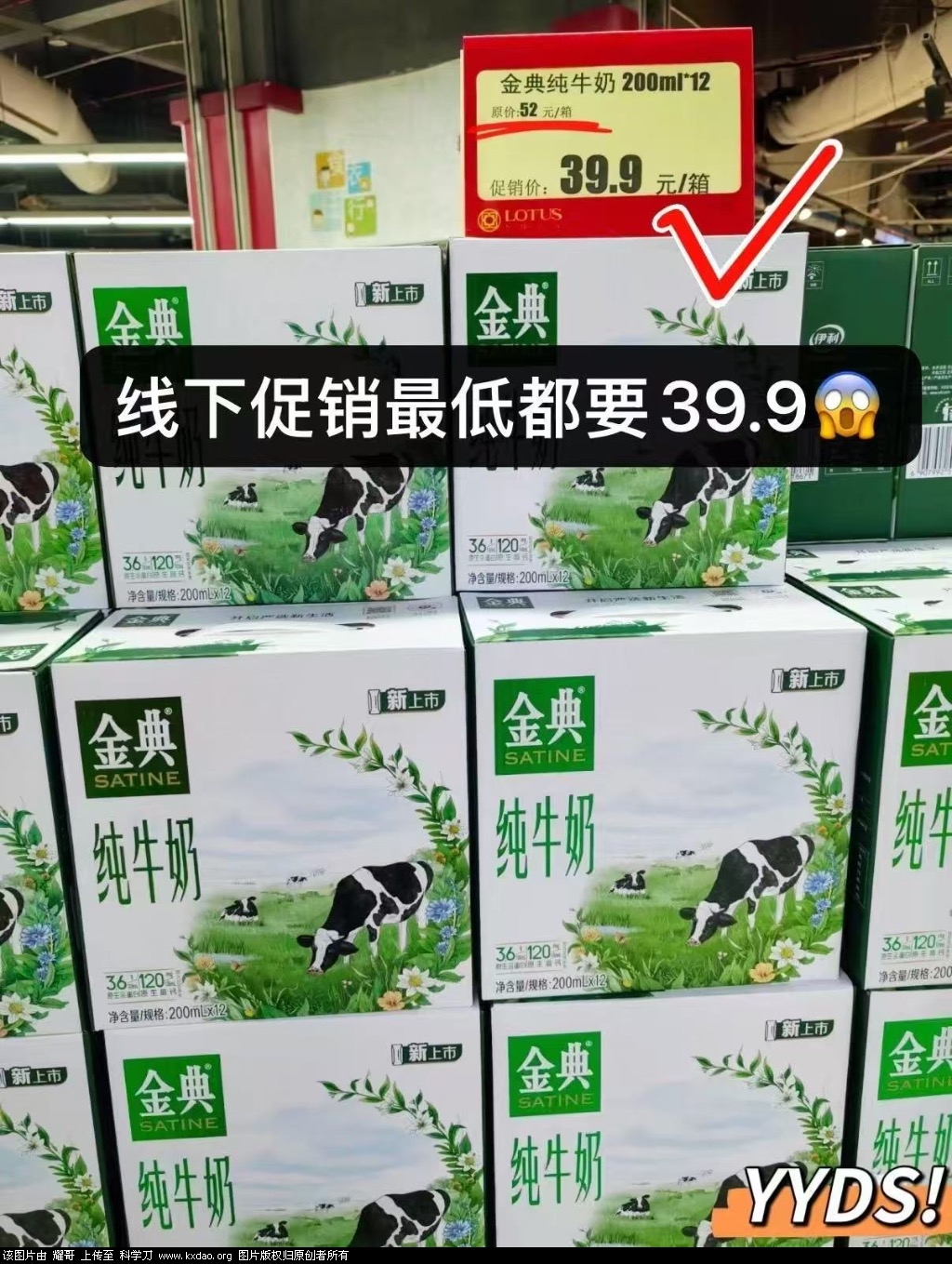 IMG_0202.jpeg