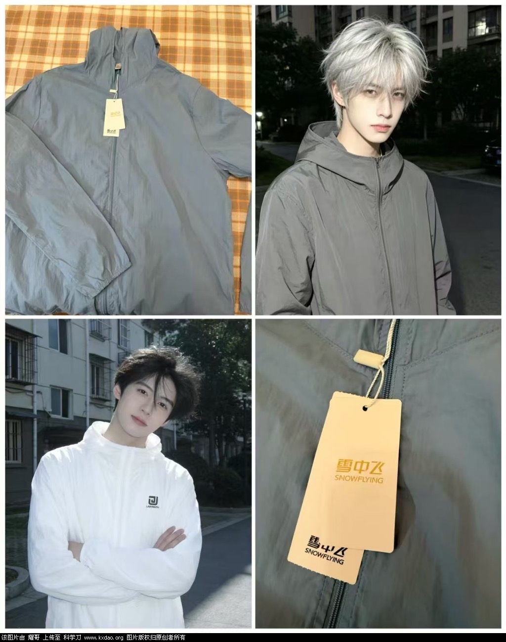 IMG_3255.jpeg